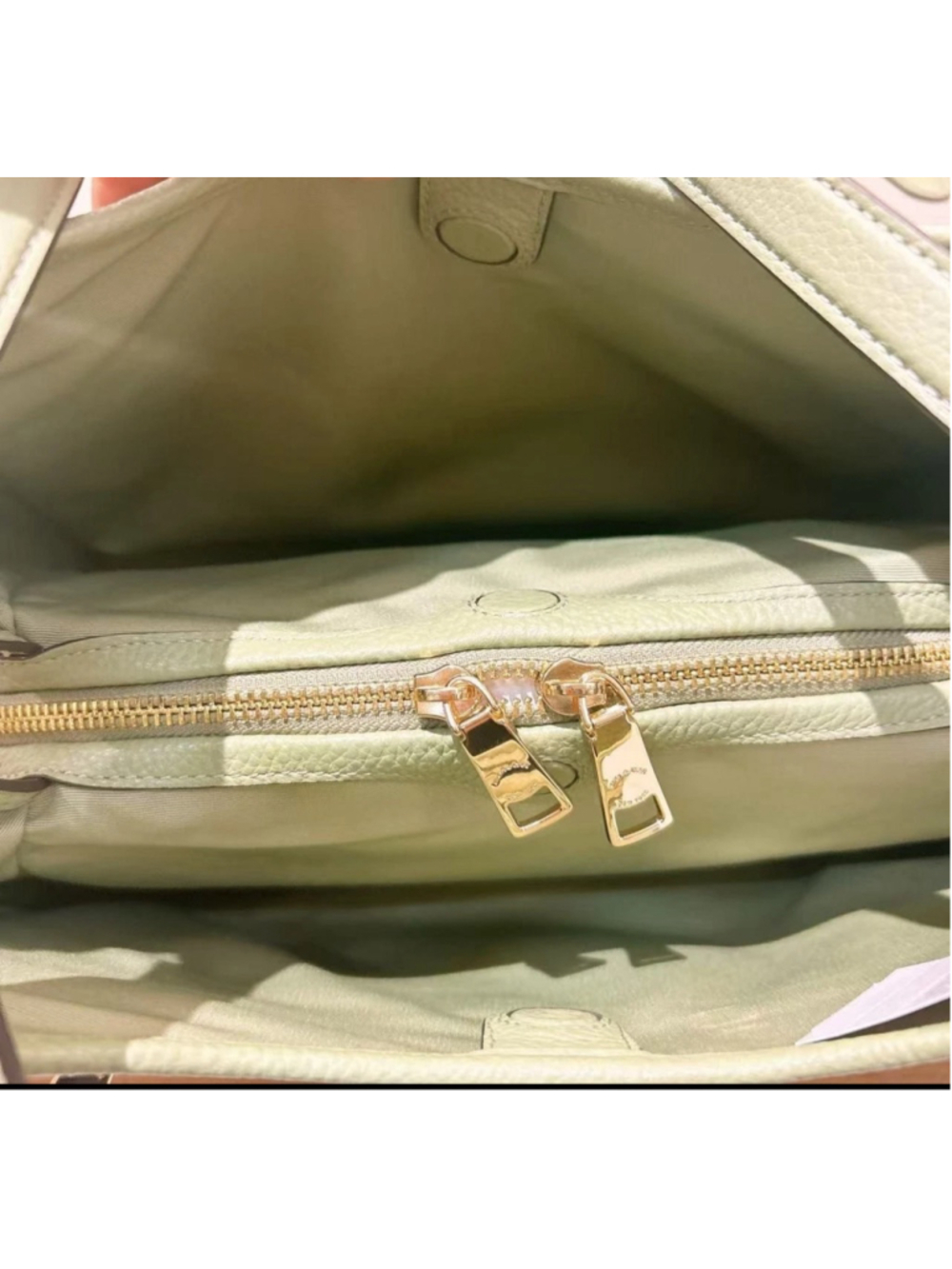 NEW Coach Erin Shoulder Bag Pistachio Pebbled Leather CAQ86 NWT HTF - Picture 8 of 10